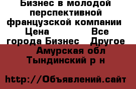 Бизнес в молодой перспективной французской компании › Цена ­ 30 000 - Все города Бизнес » Другое   . Амурская обл.,Тындинский р-н